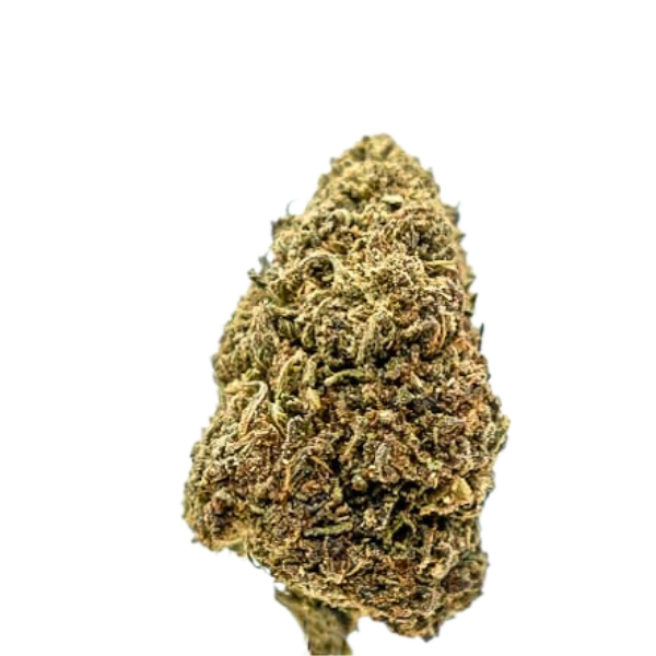 A dense hemp flower bud on a white background