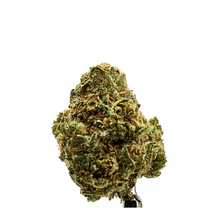 A hemp flower bud on a white background