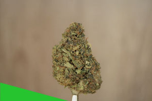 Delta-8 Blueberry Diesel