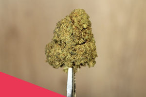 Delta-8 Sour Jack